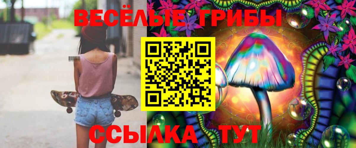 купить   Галлюциногенные грибы мицелий  Вход с VPN  Кунгур 